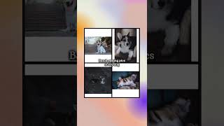 How I Batch Edit and Uncrop Photos in Seconds [upl. by Granese]