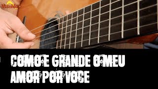 Como é grande o meu amor por você  Cifra Simplificada  Violão Iniciante [upl. by Anires]