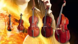 Chris Hein Solo Strings Overview  Best Service [upl. by Nikolaus]