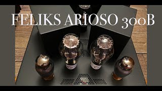 FELIKS 300B integrated amplifier luxury sound from Poland [upl. by Nellad]