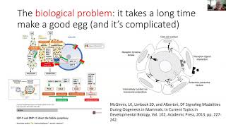 Cytoplasmic Maturity and the Acquisition of Developmental Competence in the Human Oocyte [upl. by Spragens796]