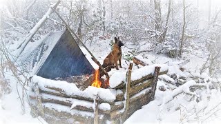 Caught in a Storm  Winter Camping in a Snowstorm with My Dog  Bushcraft Trip  Survival [upl. by Solracnauj]