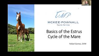 Dr Gomez Webinar Part 1 Basics of the Estrus Cycle [upl. by Kettie]