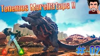 ARK Survival Evolved Domesticamos Morellatops  La Aventura del desierto gameplay español [upl. by Arhsub839]