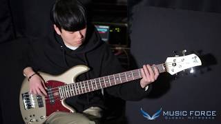 MusicForce Fodera Emperor 5 Standard Classic Demo by Bassist 김규진 GyuJin KIm [upl. by Freeborn]