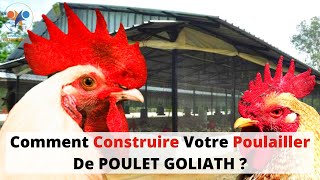 CONSTRUCTION de POULAILLER délevage de POULET GOLIATH investir au pays dans le poulet local 100 [upl. by Roman]