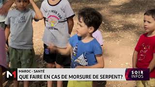 Que faire en cas de morsure de serpent [upl. by Plumbo]