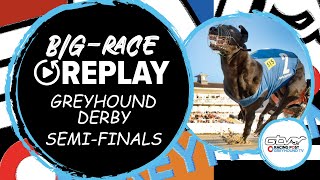 2023 Star SportsTRC Greyhound Derby SemiFinal  Greyhound Replays  RPGTV [upl. by Metsky]