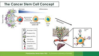 The Use of Flow Cytometry to Identify Cancer Stem Cells in Primary Tumors and in Circulation [upl. by Ycnay]