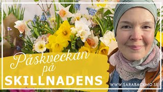 Påskvecka på Skillnadens handelsträdgård i Kalvsvik [upl. by Chiang]