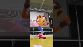 Crash Bandicoot Cosplay dance Naoniscon 2019 [upl. by Emanuele]