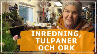 Inredning tulpaner och ork  Skillnadens handelsträdgård [upl. by Orella]