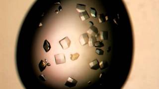 Lysozyme crystal growth [upl. by Reames]