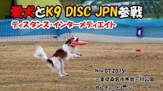 Kooikerhondjeテラ K9DJ参戦記＠木曽三川 [upl. by Grady]