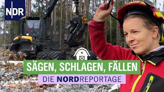 Sägen Schlagen Fällen  Mit großen Maschinen durch die Holzernte  Die Nordreportage  NDR [upl. by Htrahddis]