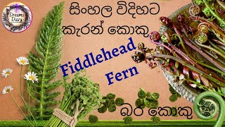 How to make Fiddlehead Fern  Keran Koku  සිංහල තාලෙට කැරන් කොකු  බර කොකු  Blechnum Orientale [upl. by Anej]