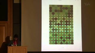 Color in Context Revisiting Albers with Anoka Faruqee [upl. by Dennison]