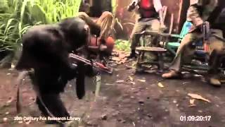 African soldiers give monkey an AK47 [upl. by Airdnaxila]