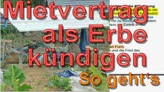 Als Erbe wirksam Mietvertrag kündigen § 564 BGB  So gehts  Mustertext  Immobooksde [upl. by Laertnom]