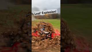 Polaris RZR 170 Explodes Leaf Pile 3SRTV 3SeasNation 3SeasRecreation [upl. by Cavan]