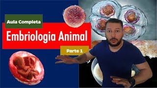 Embriologia Fecundação e Segmentação parte 1 [upl. by Aitan163]