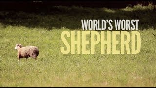 Worlds Worst Shepherd gives a lesson about sheep [upl. by Figge]