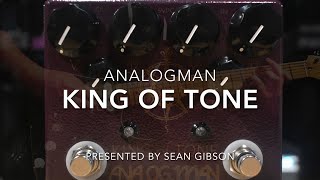 Analog Man  King of Tone with Sean Gibson of The Noise Reel [upl. by Helaina]