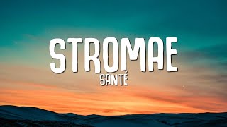 Stromae  Santé Paroles  Lyrics [upl. by Eiramlirpa]