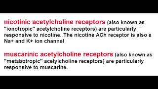 Ach Receptors  Nicotinic amp Muscarinic [upl. by Idihsar737]