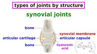 Joints Structure and Types of Motion [upl. by Jaymie764]