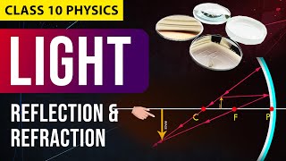 Light  Reflection amp Refraction FULL CHAPTER in Animation  NCERT Science  CBSE Class 10 Chapter 1 [upl. by Appolonia]