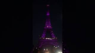 Eiffel Tower  Light Show [upl. by Olvan882]