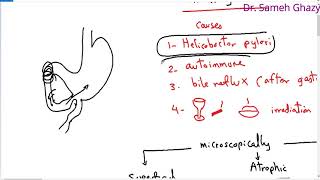 Systemic pathology 22  GIT 3  gastritis  DRSAMEH GHAZY [upl. by Anid981]