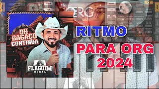 Ritmo Flaguim Moral Para Org 2024 Solos [upl. by Mackay]