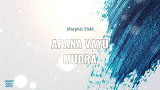 Apana Vayu MudraMorphic Field [upl. by Atenaz]