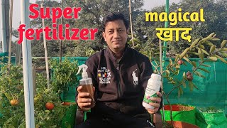 benefits of seaweed fertilizer। कमाल की खाद है seaweed [upl. by Natye123]