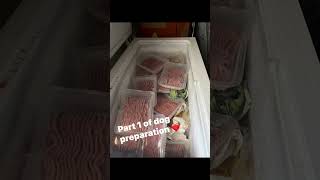 Part 1 Dog perpetration for there monthly meal ❤️ part 2 will be in next video 😊 [upl. by Singband]