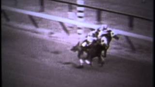 Secretariat  1972 Allowance Win [upl. by Enoitna]