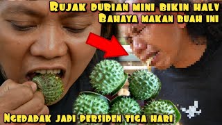 GAW4T RUJAK DURIAN MINI BIKIN HALV 3 HARI [upl. by Latimer924]