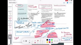 Glaucoma Pharmacology Therapy neurology last 178  First Aid USMLE Step 1 in UrduHindi [upl. by Lucey]