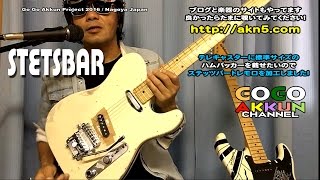 ステッツバーを加工しました！ stetsbar tremolo ～telecaster [upl. by Oisangi]