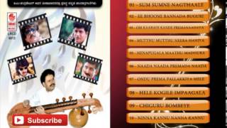 Veena Kannada Instrumental Music  Sum Sumne Nagthaale  Kannada Karaoke Songs [upl. by Jen]