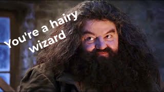 Youre a Hairy Wizard [upl. by Mcknight]