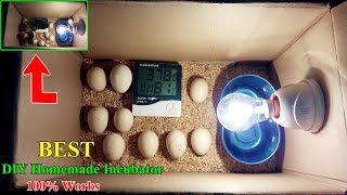 How to Make a Homemade Incubator for Chicken Eggs  Hatching Eggs  DIY Homemade Incubator Easy [upl. by Haldeman361]