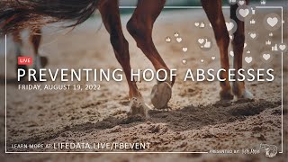 Preventing Hoof Abscesses [upl. by Ellezaj]