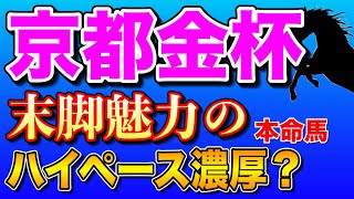 【京都金杯2024最終考察】ドーブネとトゥードジボンは軽視🔥 [upl. by Vivia]