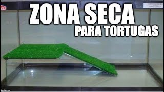 zona seca de la tortuga de agua [upl. by Torr]