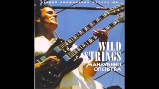 MAHAVISHNU ORCHESTRA  Wild Strings  1972 [upl. by Nosnehpets]