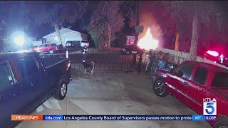 Arsonist sought in as many as 14 fires set in Reseda [upl. by Auqenwahs]