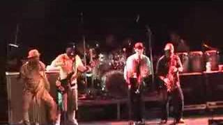 Slightly Stoopid  Ever Really WantedOlder with Fishbone [upl. by Meredi]